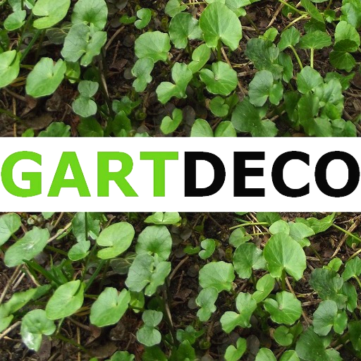 Katarzyna Płatek Gartdeco